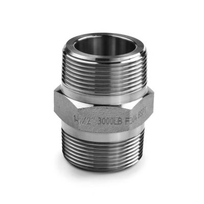SS304 316 316L de alta presión forjado Hex pezón 300 bar hilo masculino igual/reducción pezón