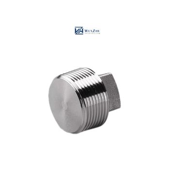 Acero inoxidable revestido de plata WZ 304 316 316L Plug cuadrado forjado a alta presión NPT BSPT