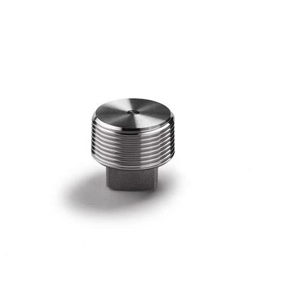 Acero inoxidable revestido de plata WZ 304 316 316L Plug cuadrado forjado a alta presión NPT BSPT