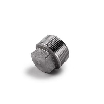 Acero inoxidable revestido de plata WZ 304 316 316L Plug cuadrado forjado a alta presión NPT BSPT