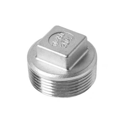 Acero inoxidable NPT BSP 201 304