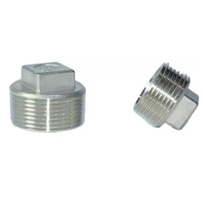 Acero inoxidable NPT BSP 201 304