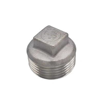 Acero inoxidable NPT BSP 201 304