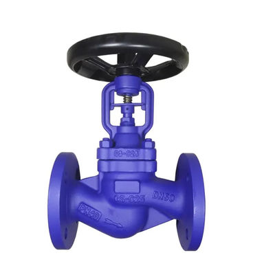 Válvula de puerta de hierro flexible con cabeza hexagonal PN10 PN16