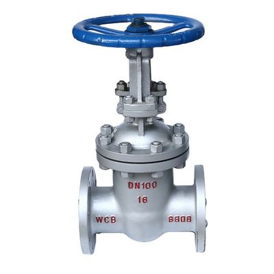 20 mm-50 mm PN16 API JIS 304/316 válvula de puerta de brida de acero inoxidable para agua o aceite