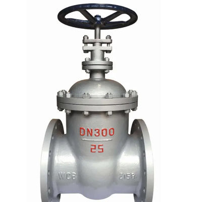 Válvula de puerta de acero inoxidable de fundición estándar con diseño estándar ANSI JIS DIN GB