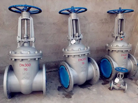 Válvula de puerta de acero inoxidable de fundición estándar con diseño estándar ANSI JIS DIN GB