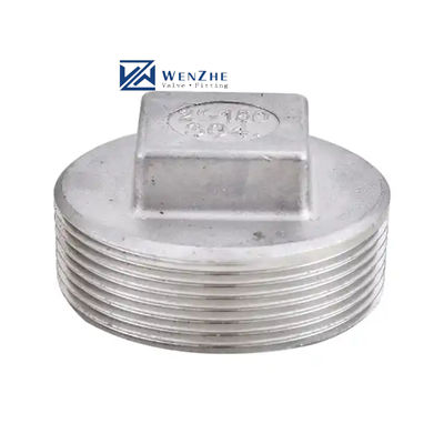 Acero inoxidable 304 201 Tubo fundido encaje cabeza cuadrada enrejado con enchufe de clase 150 2' NPT macho roscado